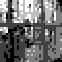 Chaos and Creation in the Backyard cover